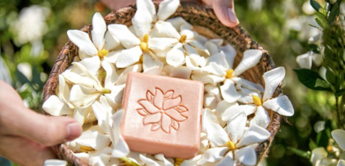 在生態(tài)友好的旅途中，愛上泰順 可持續(xù)旅游項(xiàng)目開發(fā)與管理的探索