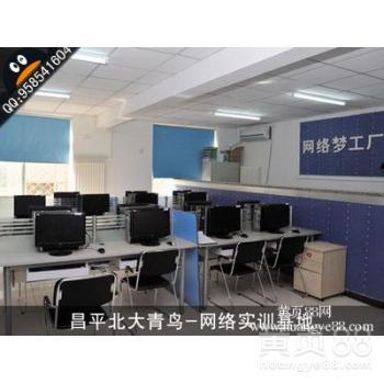 2013年計算機四級網絡工程師備考渠道與北大青鳥課程對比解析